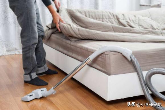 床上有小飞虫怎么去除(图5)