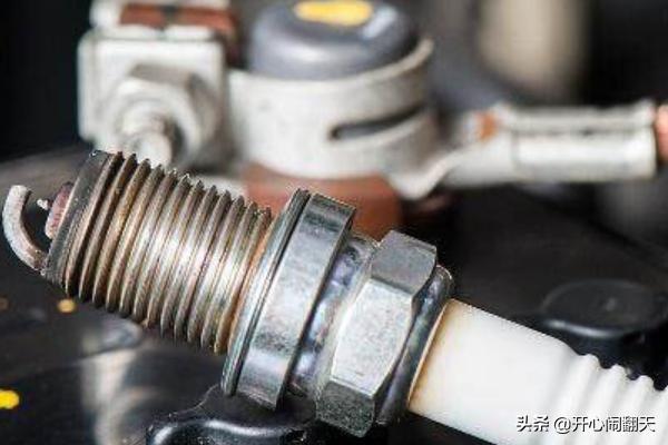 去海外生活保养，去海外生活保养怎么样