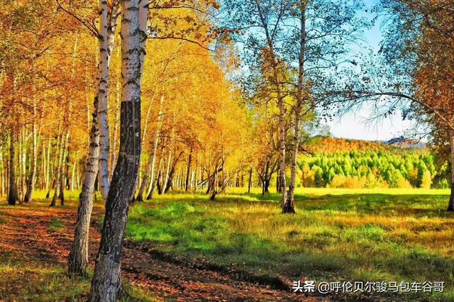 半拉山自驾游路线，半拉山自驾游路线攻略