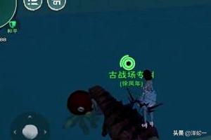 小飞龙外挂 小飞龙游戏-第2张图片-春华游戏网