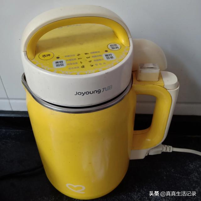 儿童居家自制美食做法（小孩适合哪些自制豆浆？）