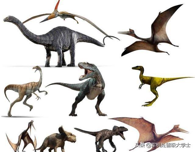 恐龙有多少种 恐龙有多少种,那个时候有人吗,谁能打得过恐龙