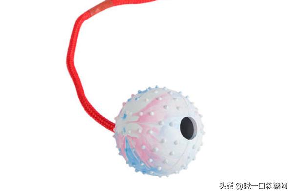 有毒的玩具_十大最危险儿童玩具排行？