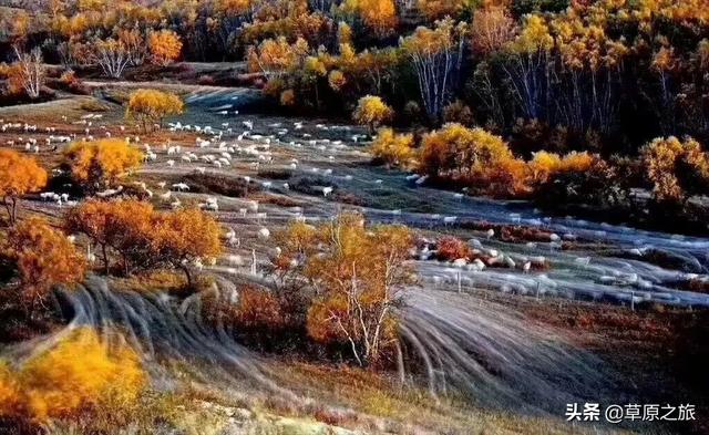 榆林市靖边县纸飞机账号购买服务