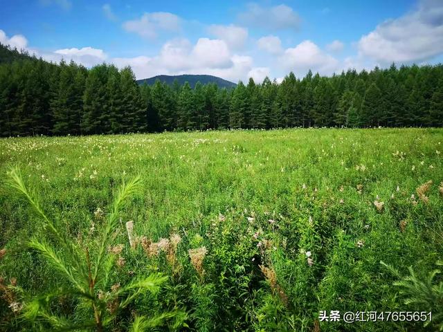 西藏亚东自驾游路线，西藏亚东自驾游路线图