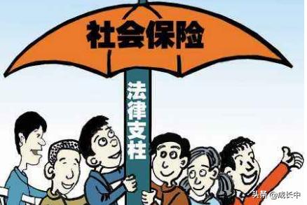 户口五险一金，户口五险一金怎么交