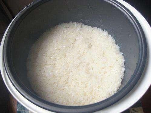 米饭煮多久米饭煮多久能熟