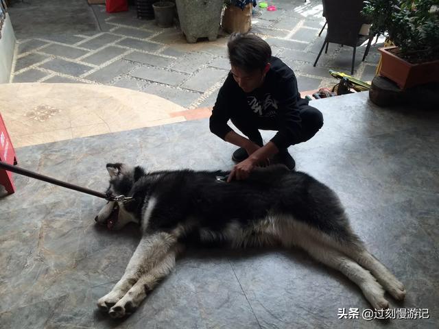 中国青年旅行社特色-中国青年旅行社特色产品