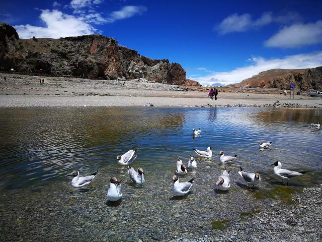 深秋西藏旅游穿搭， 深秋西藏旅游穿搭图片