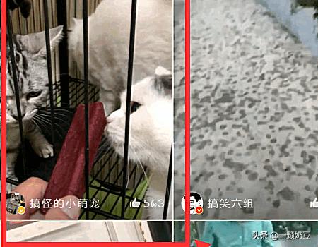 怎么把新浪微博里的视频下载到手机上？请问大神，怎么下载新浪微博的视频，而且不带秒拍视频的水印啊？