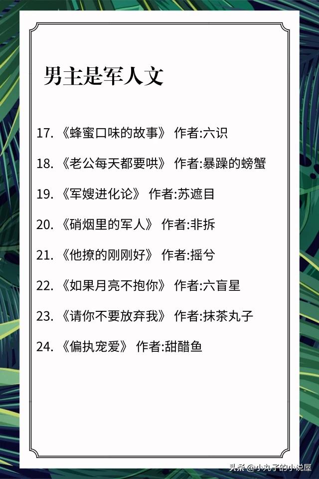 哪位好心人能推荐几本男主是军人或警察的言情小说