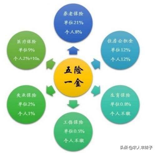 五险交几年，五险交几年可以领退休金