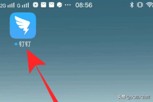 钉钉app开发是什么