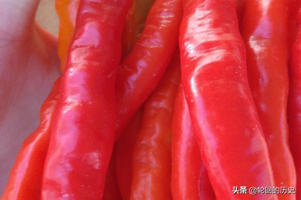 青椒泡酒有什么功效