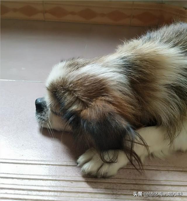 沙发带床的沙发图片,沙发带床的沙发图片及价格
