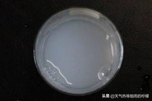石凉粉-石凉粉的原料是什么