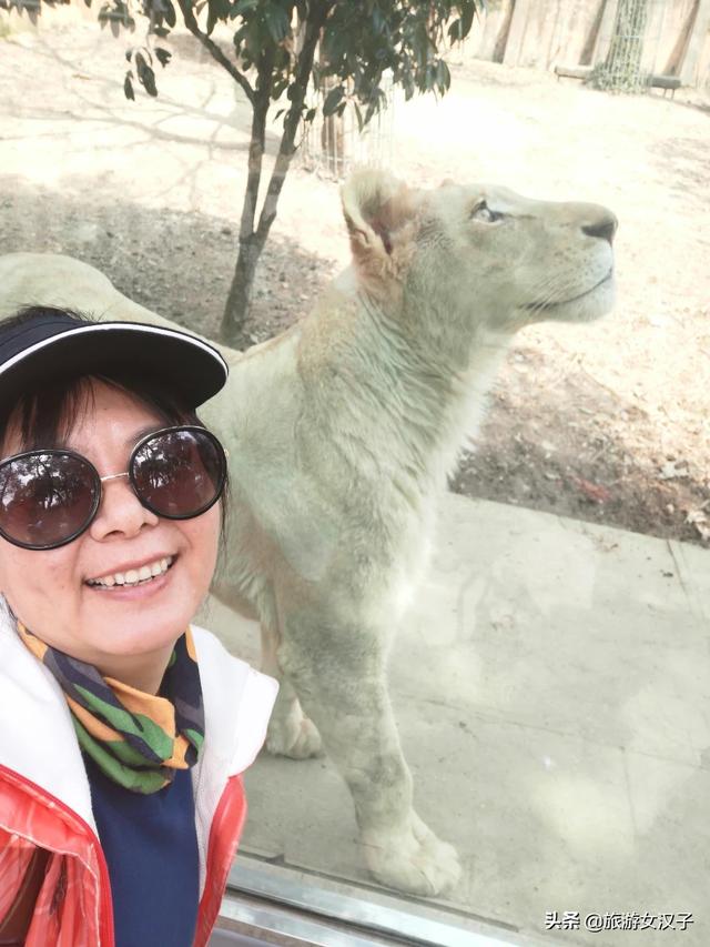 旅游视频海外生活节目在线观看，旅游视频海外生活节目在线观看免费