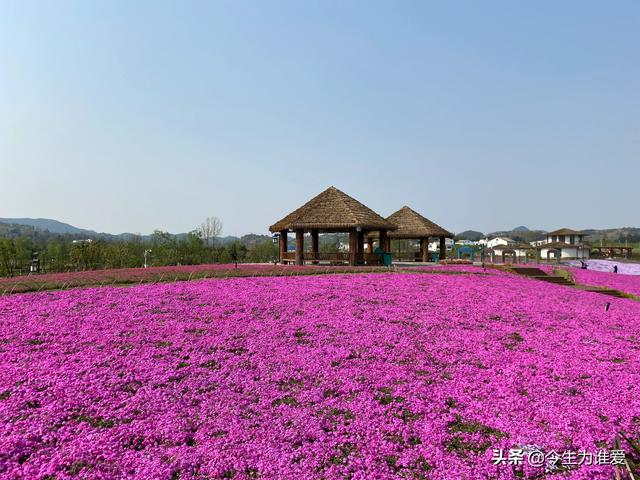 安顺旅游景点大全-安顺旅游景点大全图