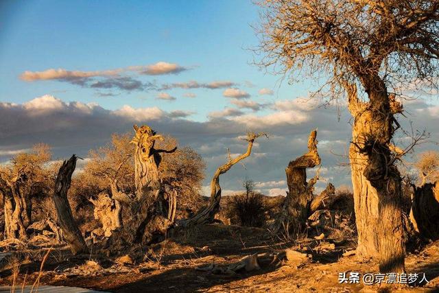 鲁迅《后记》好句及赏析，曾教授关于人生感悟的句子 - 句子网
