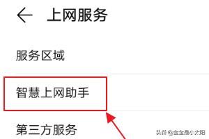 [上网助手]联网助手是什么？