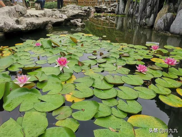 学生旅游的好处和意义 怎么写作文,学生旅游的好处和意义 怎么写作文三年级