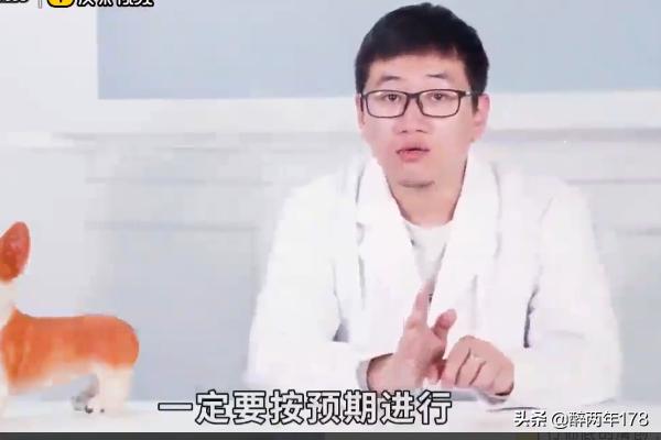 狗狗伤口发炎怎么办,第6张