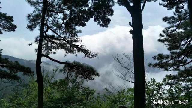 宜昌旅游必去景点免费的(图4)