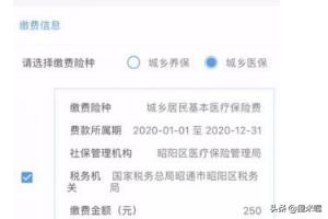 深入了解云南地方税务局的组织结构与职能，深入了解云南地方税务局的组织结构与职能管理