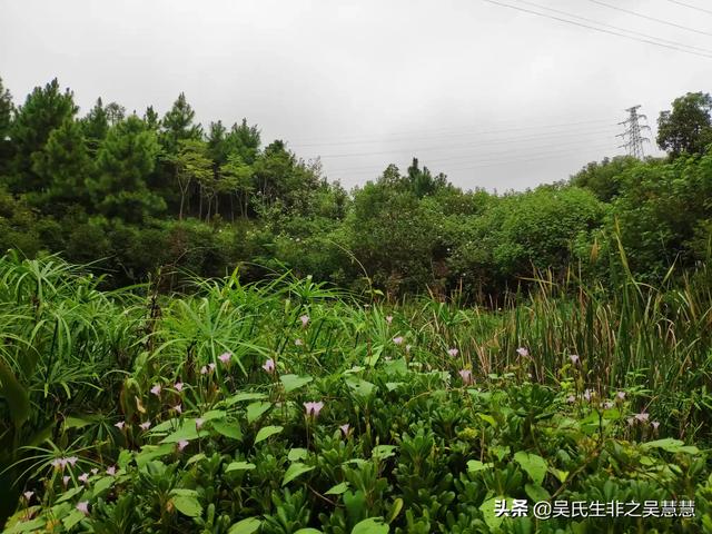 大家操（我怀孕了，老公不在身边，家里人什么都不让干，每天好无聊呀，谁能告诉我该怎么打发时间？）