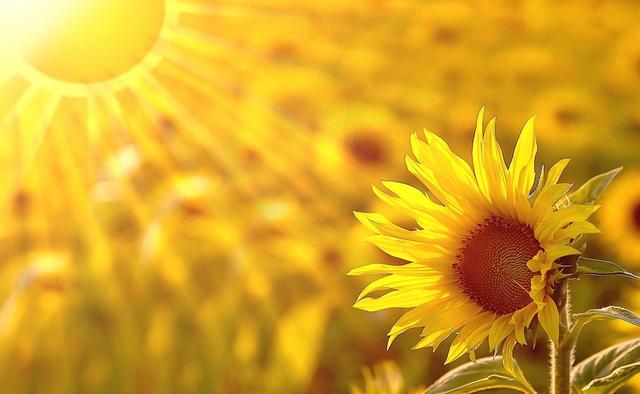 死亡阴影修改器手机版 死亡阴影修改器-第1张图片-随然AIR主题