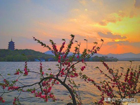 中国排行榜 （中国排行榜首富前十名）
