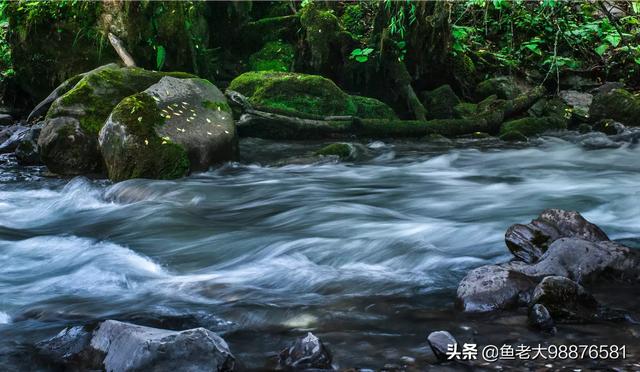湛江二手丰田suv价格，湛江市壹鸣汽车销售服务有限公司
