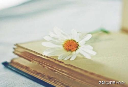 读书的好处的优美句子_读书的好处的优美句子摘抄