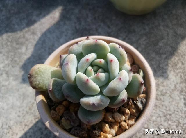 a27946357a11460bbfa9e46c161db2ac