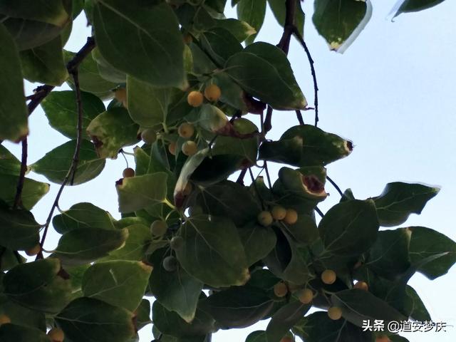 美丽山水图?美丽山水图片!