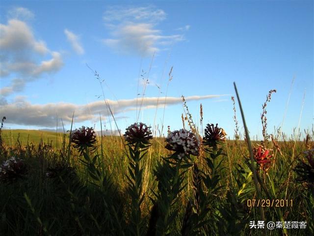 七八月份适合旅游的地方-七八月份适合旅游的地方有哪些