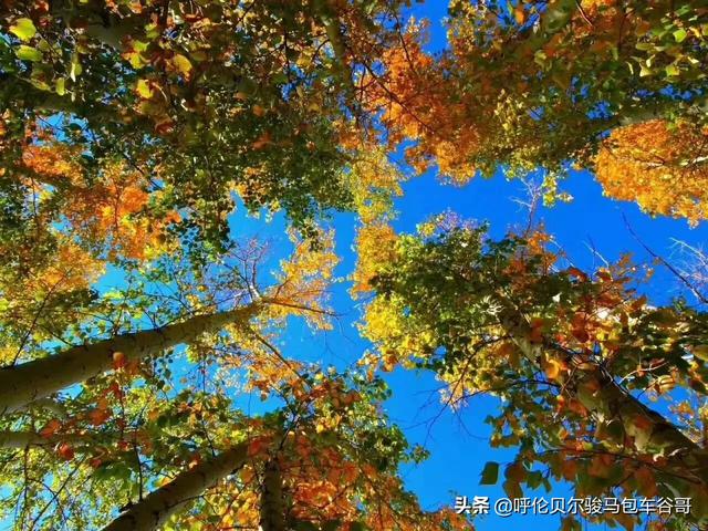 半拉山自驾游路线，半拉山自驾游路线攻略
