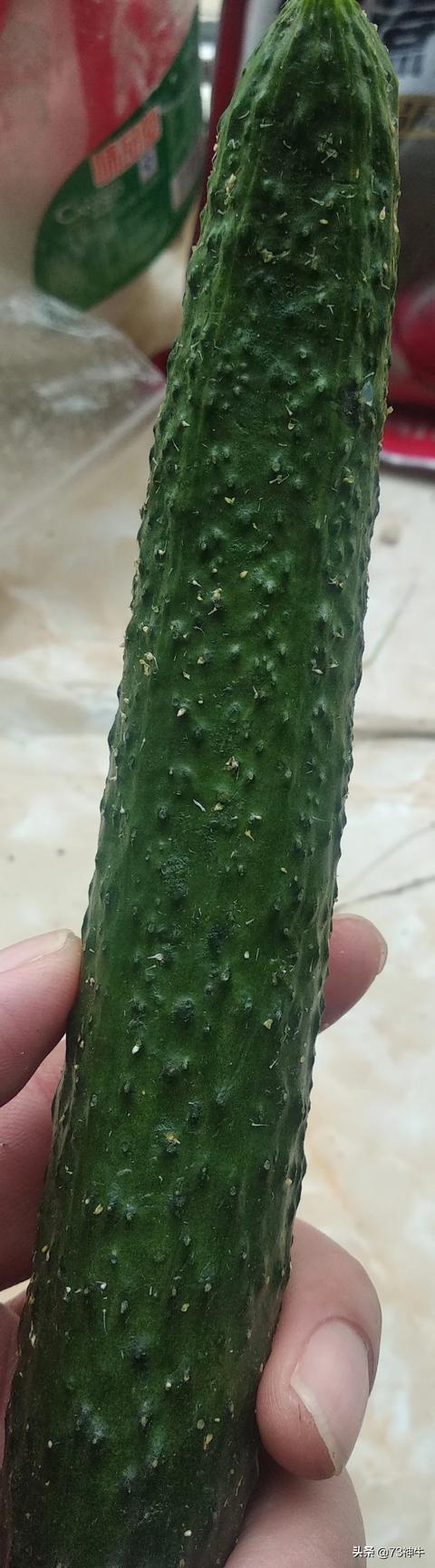 减肥最好的鸡蛋怎么吃(图28)