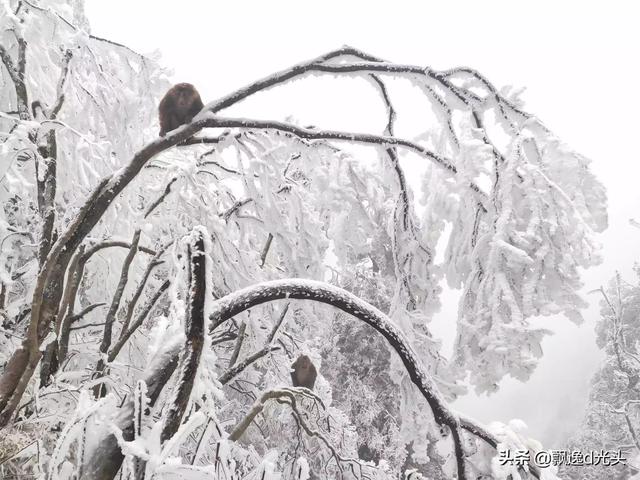 [峨眉山伏虎寺]峨眉山各景点介绍？