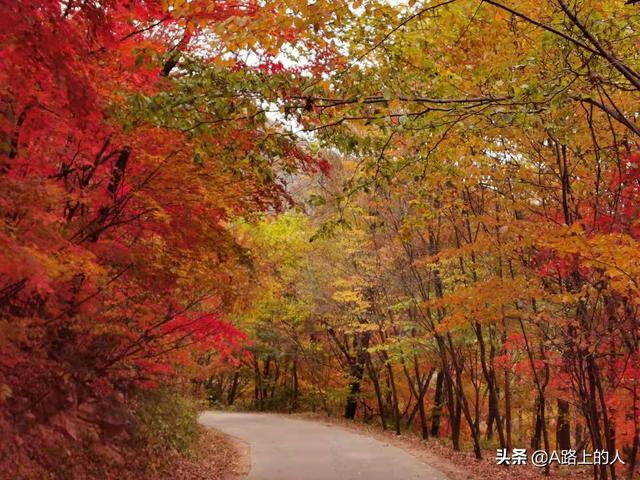 随州徒步旅游景点，随州徒步旅游景点推荐