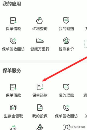 中国人寿保单借款流程图片 人寿保险公司垫付医药费流程？