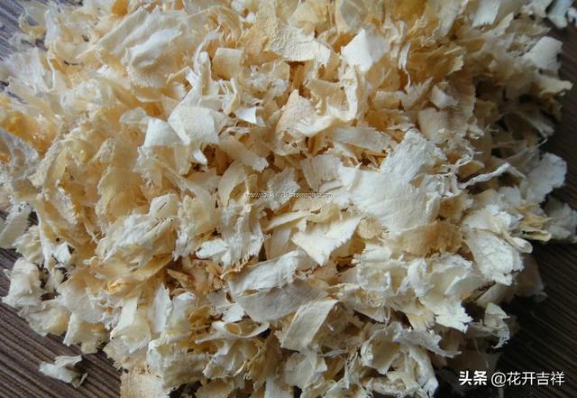 虎皮鹦鹉的繁殖箱里铺什么,第3张
