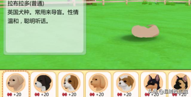 心动小狗结婚攻略 心动小狗结婚攻略免费阅读  第1张