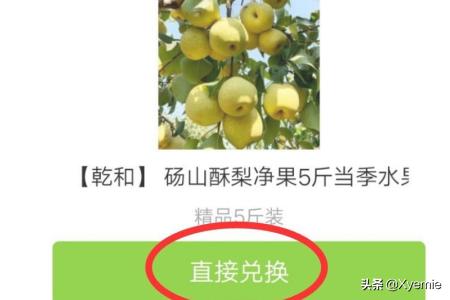 中班丰收的水果教案艺术(图4)