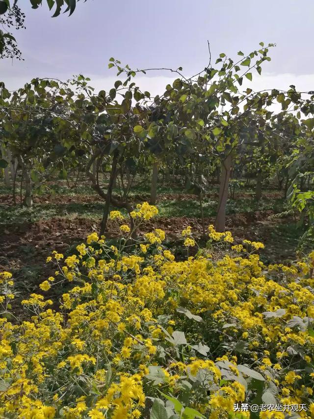 花艺行业的商业化现状如何? 花艺行业的商业化现状如何写!