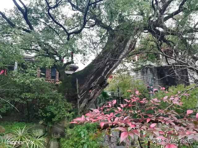 长沙下雨天，带朋友上哪里玩比较浪漫？