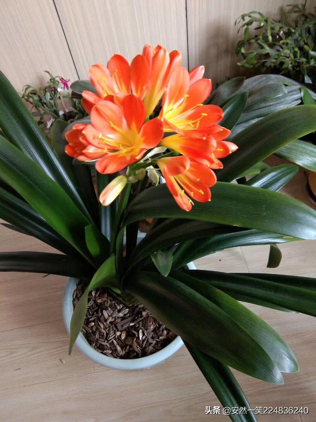 爱情城市（爱情城市电视剧免费观看）