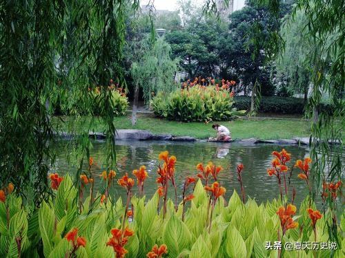 “鱼得水逝而相忘乎水，鸟乘风飞而不知有风”，是什么意思，关于鱼和鸟的伤感句子