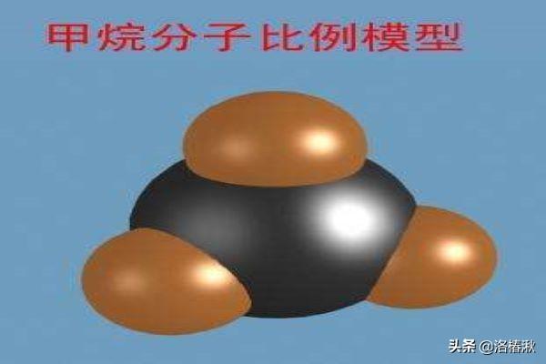 深圳市家简呈出怎么样
