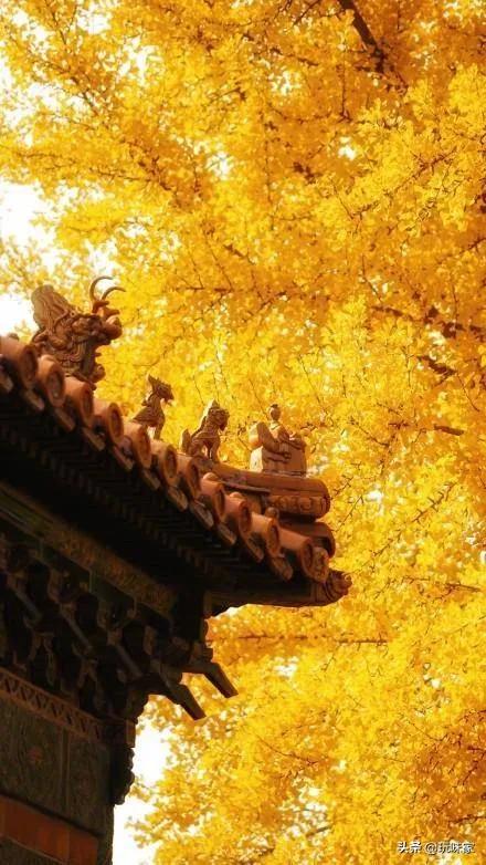 宝鸡秋天旅游景点大全， 宝鸡秋天旅游景点大全图片